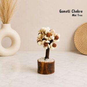 Gomati Chakra Mini Tree 🌿